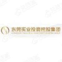 东莞实业投资控股集团有限公司