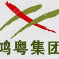 广东鸿粤汽车销售集团有限公司