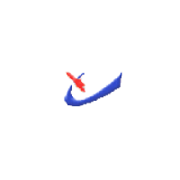 岳阳兴长石化股份有限公司