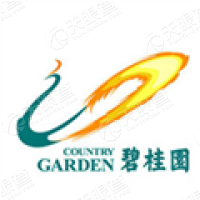 惠州市惠阳区碧桂园房地产开发有限公司